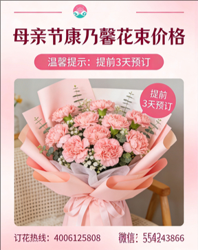 西安莲湖区花店母亲节康乃馨花束