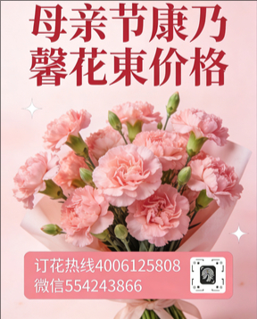 西安莲湖区花店母亲节康乃馨花束